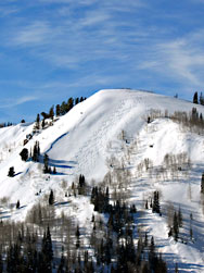 Canyons Powder