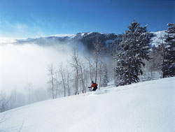 Canyons Skier